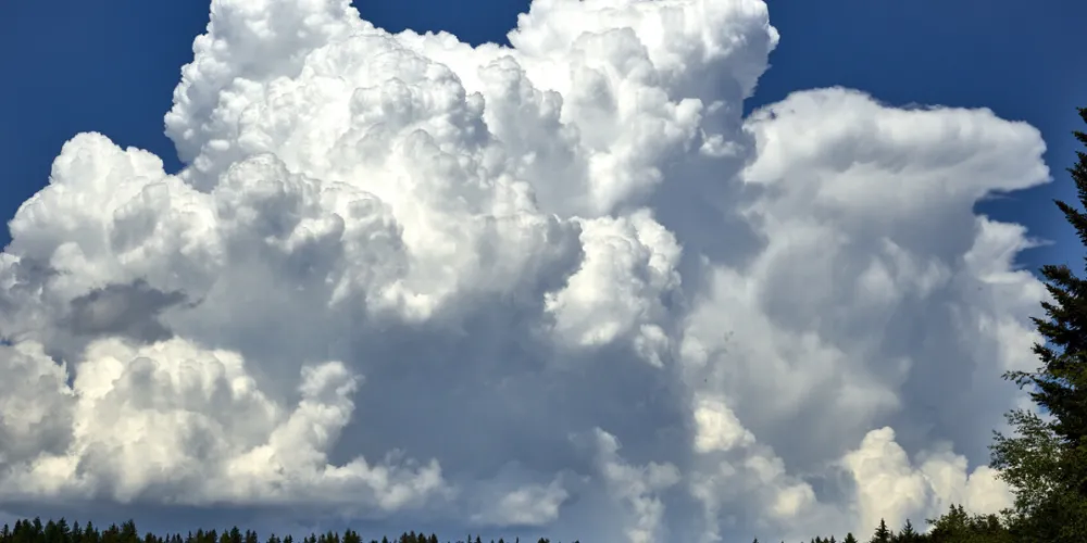 La responsabilité pénale du salarié après son départ de l’entreprise, lorsqu’il s’approprie des données de l’entreprise