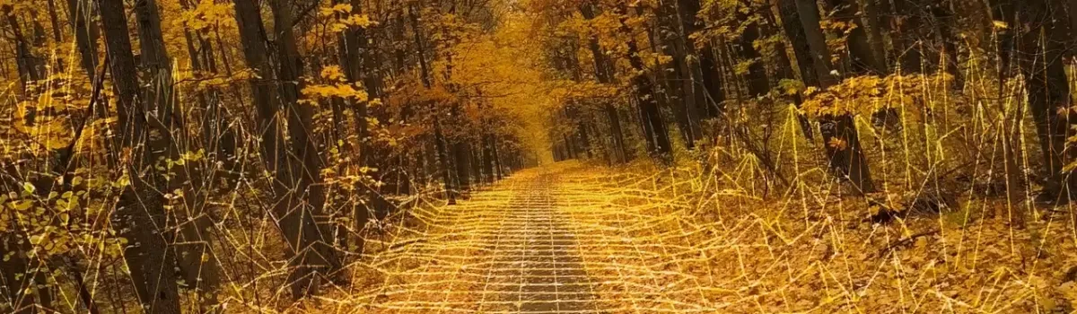 Le Chemin Moderne